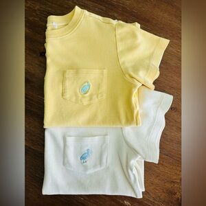 TBBC. Set of two Carter Crewneck Tees. Play condition. Size 4T.